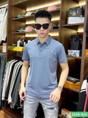 Áo phông Quảng Châu cao cấp 2529-025