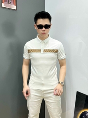 Áo phông Quảng Châu cao cấp 11126