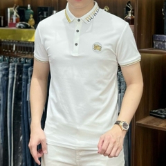 Áo phông Quảng Châu cao cấp 2450