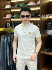Áo phông Quảng Châu cao cấp 2450