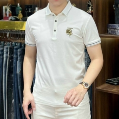 Áo phông Quảng Châu cao cấp 2469