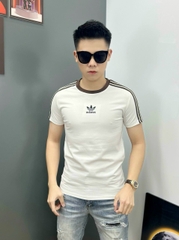 Áo phông Quảng Châu cao cấp APKC-11113