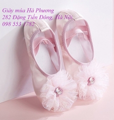 Giày múa Xanh Hoa