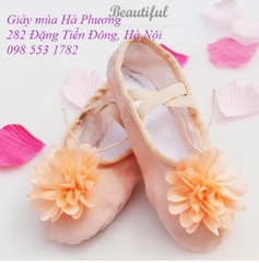 Giày múa Hồng Hoa