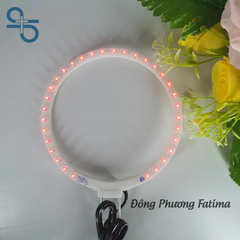 VÒNG HÀO QUANG LED LOẠI 14cm
