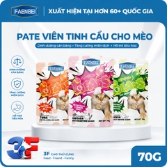 Pate Viên Tinh Thể Faenbei Cho Mèo 70g - Thức Ăn Ướt Chức Năng Hỗ Trợ Da Lông, Tiêu Hóa & Miễn Dịch