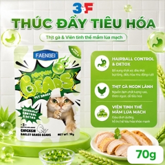 Pate Viên Tinh Thể Faenbei Cho Mèo 70g - Thức Ăn Ướt Chức Năng Hỗ Trợ Da Lông, Tiêu Hóa & Miễn Dịch