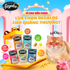 Pate Regalos Dành Cho Mèo Nhiều Vị Gói 70g