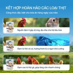 Pate Sữa Dê Faenbei Cho Mèo 85g - Thức Ăn Ướt Thịt Tươi, Dễ Tiêu, Bổ Sung Taurine & IMO