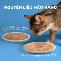 Pate Viên Tinh Thể Faenbei Cho Mèo 70g - Thức Ăn Ướt Chức Năng Hỗ Trợ Da Lông, Tiêu Hóa & Miễn Dịch