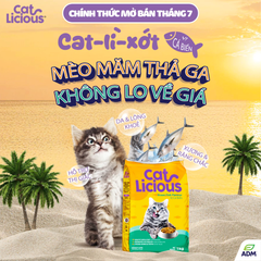 Thức ăn hạt cho mèo Catlicious - 1kg |