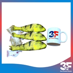 Đồ Chơi Con Cá Kèm Catnip Cho Mèo