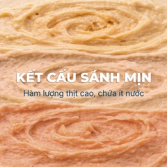 Súp Thưởng Creamy Faenbei Cho Mèo 4x15g - Kem Thưởng Bổ Sung Taurine, Omega 3 & Vitamin