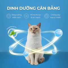 Súp Thưởng Creamy Faenbei Cho Mèo 4x15g - Kem Thưởng Bổ Sung Taurine, Omega 3 & Vitamin