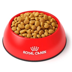 Hạt Dành Cho Mèo Bị Sỏi Thận: Royal Canin Urinary S/O Feline Bao