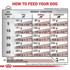 [2kg] Hạt Hỗ Trợ Hệ Tiêu Hóa Cho Chó Royal Canin Gastrointestinal
