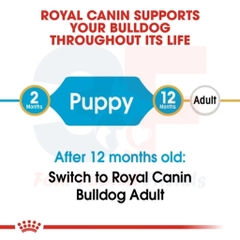 Hạt Khô Dành Cho Chó Bulldog Từ 2-12 Tháng Tuổi: Royal Canin Bulldog Puppy
