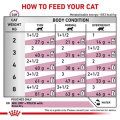 Pate Dành Cho Mèo Bị Suy Thận: Royal Canin Renal - Gói 85Gr