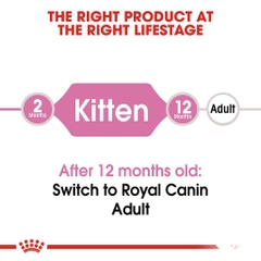 Hạt Cho Mèo Con Từ 2-12 Tháng Tuổi Royal Canin Kitten 36