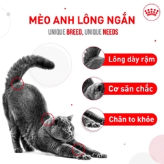 Hạt Cho Mèo Anh Lông Ngắn Trưởng Thành: Royal Canin British Shorthair Adult