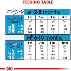 Hạt Cho Chó Nhỏ Từ 2-10 Tháng Tuổi: Royal Canin Mini Puppy