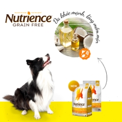 Thức Ăn Hạt Hỗ Trợ Xương Khớp Cho Chó Nutrience Grain Free Vị Gà Tây, Gà Canada Và Cá Trích