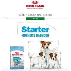 Thức Ăn Hạt Cho Chó Mẹ Và Chó Con Royal Canin Mini Starter Mother & Babydog