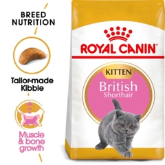 Hạt Cho Mèo Anh Lông Ngắn Royal Canin British Shorthair Kitten - Mèo Con