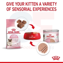 Pate Danh Cho Mèo Mẹ Và Mèo Con Royal Canin Mother & Babycat - 195Gr