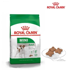 Hạt Cho Chó Nhỏ Nhỏ Trưởng Thành: Royal Canin Mini Adult
