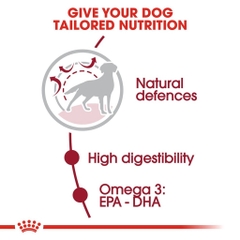 Hạt Cho Chó Từ 10 - 25Kg Royal Canin Medium Adult