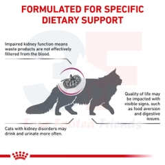 Hạt Cho Mèo Bị Suy Thận: Royal Canin Renal Feline