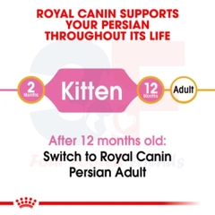 Hạt Cho Mèo Con Ba Tư - Royal Canin Persian Kitten