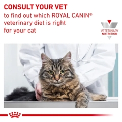 Pate Thức Ăn Ướt Cho Mèo Bị Sỏi Thận Royal Canin Urinary S/O Wet