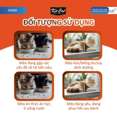 🔥 Súp Thưởng Cho Mèo Kit Cat Savoury Soup 50g Vị Cá Hồi – Bổ Sung Nước, Topping Cá Hồi Thật, Không Chất Bảo Quản