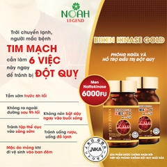 Thực phẩm bảo vệ sức khỏe BIKEN KINASE GOLD