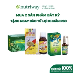 Combo Bào tử lợi khuẩn Intest Spo NSG kèm Xịt bào tử Intest Bacillus NSG Nutriway 30ml