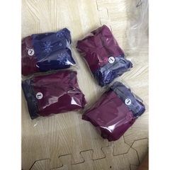 Set 2 lót cheeky Hanes-02, hàng xuất xịn