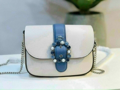 Túi Coach-02 size nhỏ