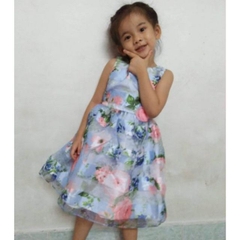 Đầm công chúa Jona Michelle, hàng xuất xin