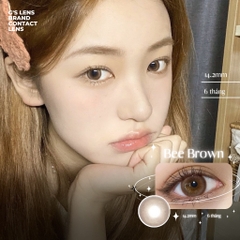 Kính áp tròng 6 tháng BEE BROWN màu nâu tự nhiên giãn tròng nhỏ GTRENDY - AL Color 38