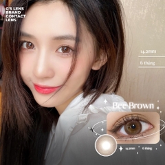 Kính áp tròng 6 tháng BEE BROWN màu nâu tự nhiên giãn tròng nhỏ GTRENDY - AL Color 38