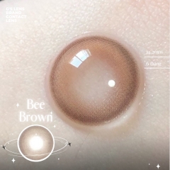 Kính áp tròng 6 tháng BEE BROWN màu nâu tự nhiên giãn tròng nhỏ GTRENDY - AL Color 38