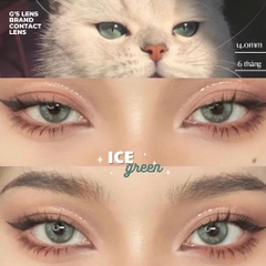 Kính áp tròng 6 tháng ICE -FROZEN GREEN màu xanh lá sáng tây không giãn tròng GTRENDY - AL Color 38