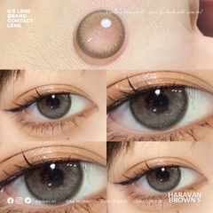 Lens Mắt Kính Áp Tròng Nâu Rêu Tự Nhiên Haravan Brown Giãn Ít Có Từ 0 Đến 7 Độ Lệch Độ Size S 14.2mm