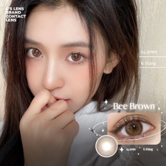 Kính áp tròng 6 tháng BEE BROWN màu nâu tự nhiên giãn tròng nhỏ GTRENDY - AL Color 38