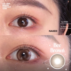 Kính áp tròng 6 tháng BEE BROWN màu nâu tự nhiên giãn tròng nhỏ GTRENDY - AL Color 38