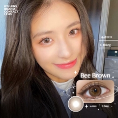 Kính áp tròng 6 tháng BEE BROWN màu nâu tự nhiên giãn tròng nhỏ GTRENDY - AL Color 38