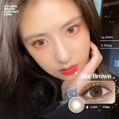 Kính áp tròng 6 tháng BEE BROWN màu nâu tự nhiên giãn tròng nhỏ GTRENDY - AL Color 38
