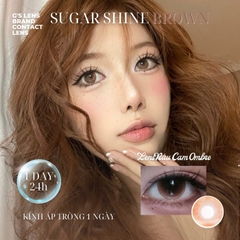 Kính áp tròng 1 ngày SUGAR SHINE BROWN màu nâu sáng tây giãn tròng nhỏ GTRENDY